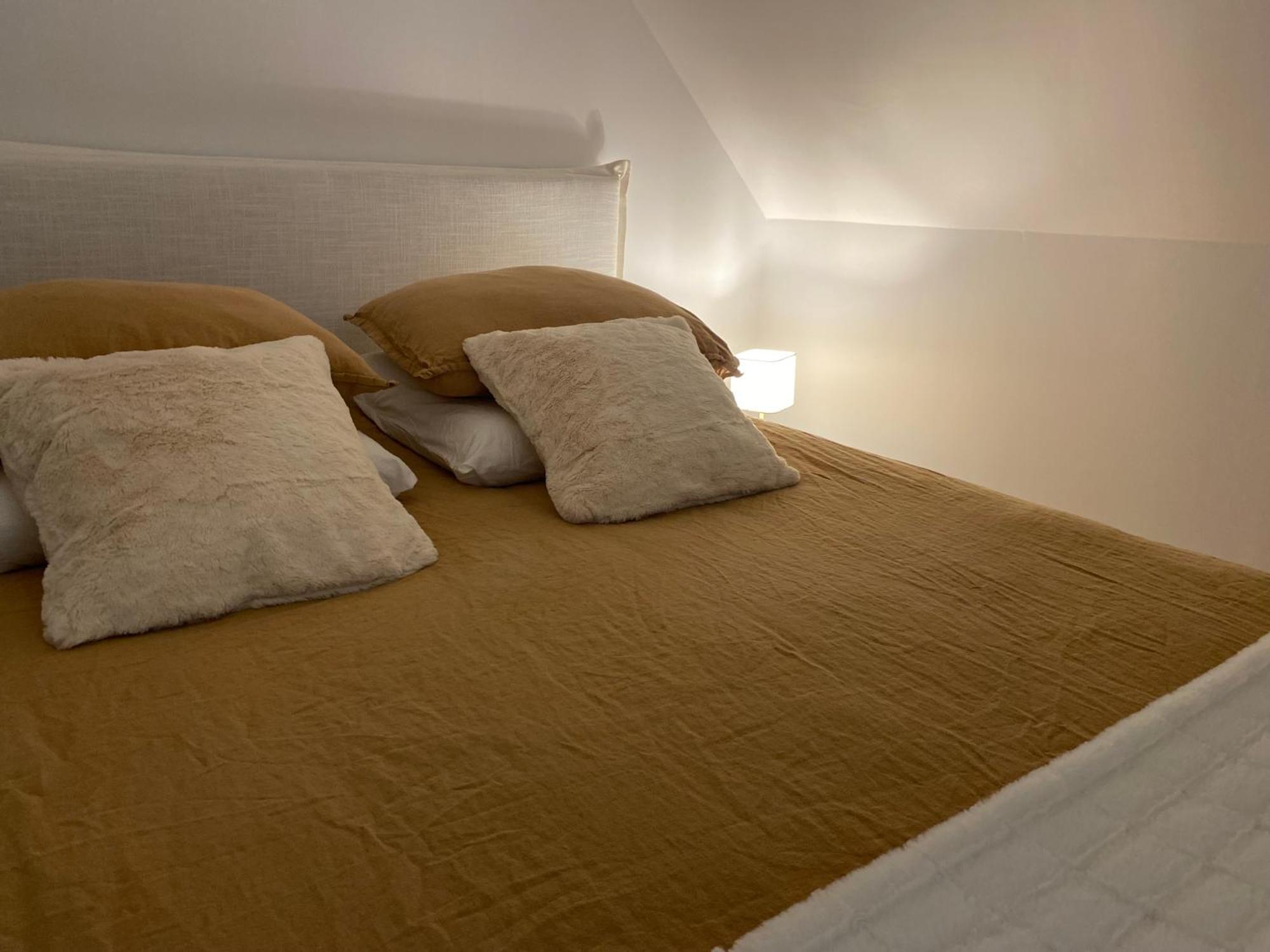 Semblançay Chambre D'Hotes Independante Les Agapanthes מראה חיצוני תמונה